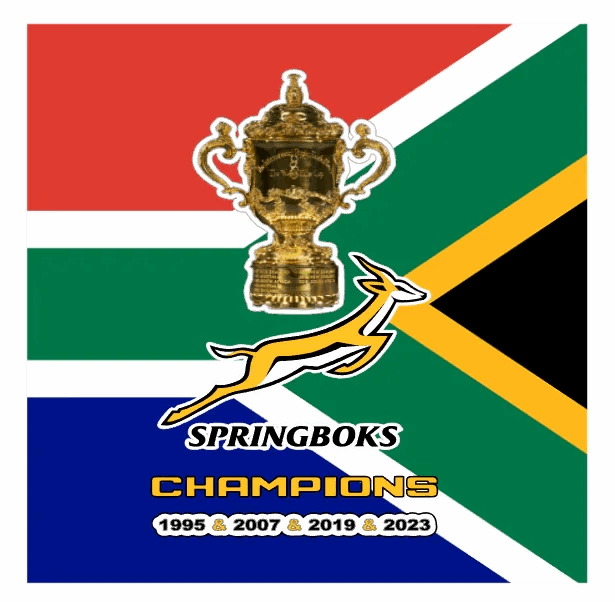 South African Flag and Springboks Rugby World Trophy Coasters Set - African Pride Collection