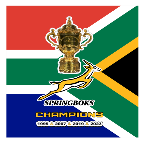 South African Flag and  Springboks Rugby World Trophy Coasters Set